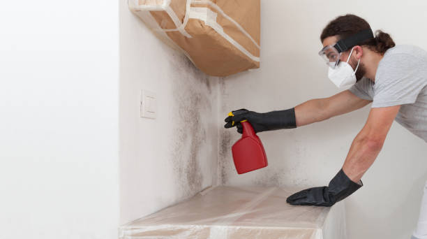 Professional Mold Removal technician working in Rockford, IL