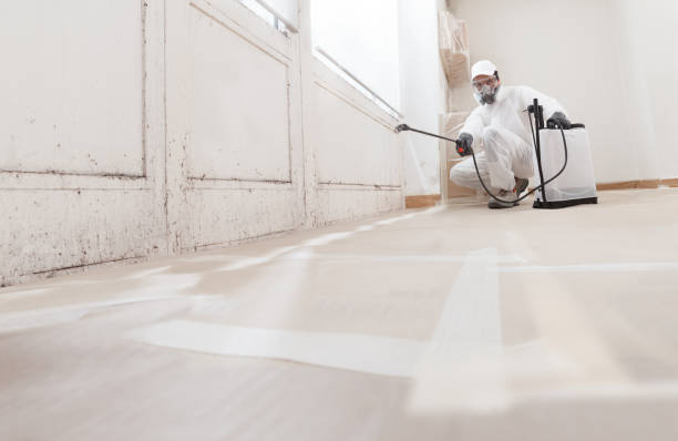 24/7 Emergency Mold Removal experts in Rockford, IL